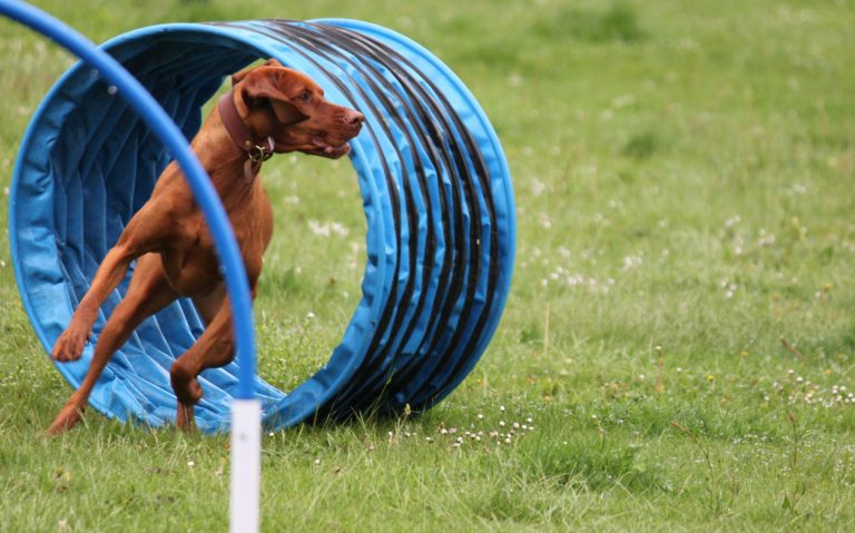 Hoopers Training