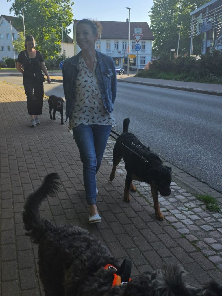 Stadtspaziergang mit der Hundeschule
