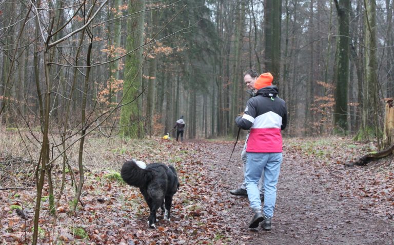 Entspannt spazieren gehen