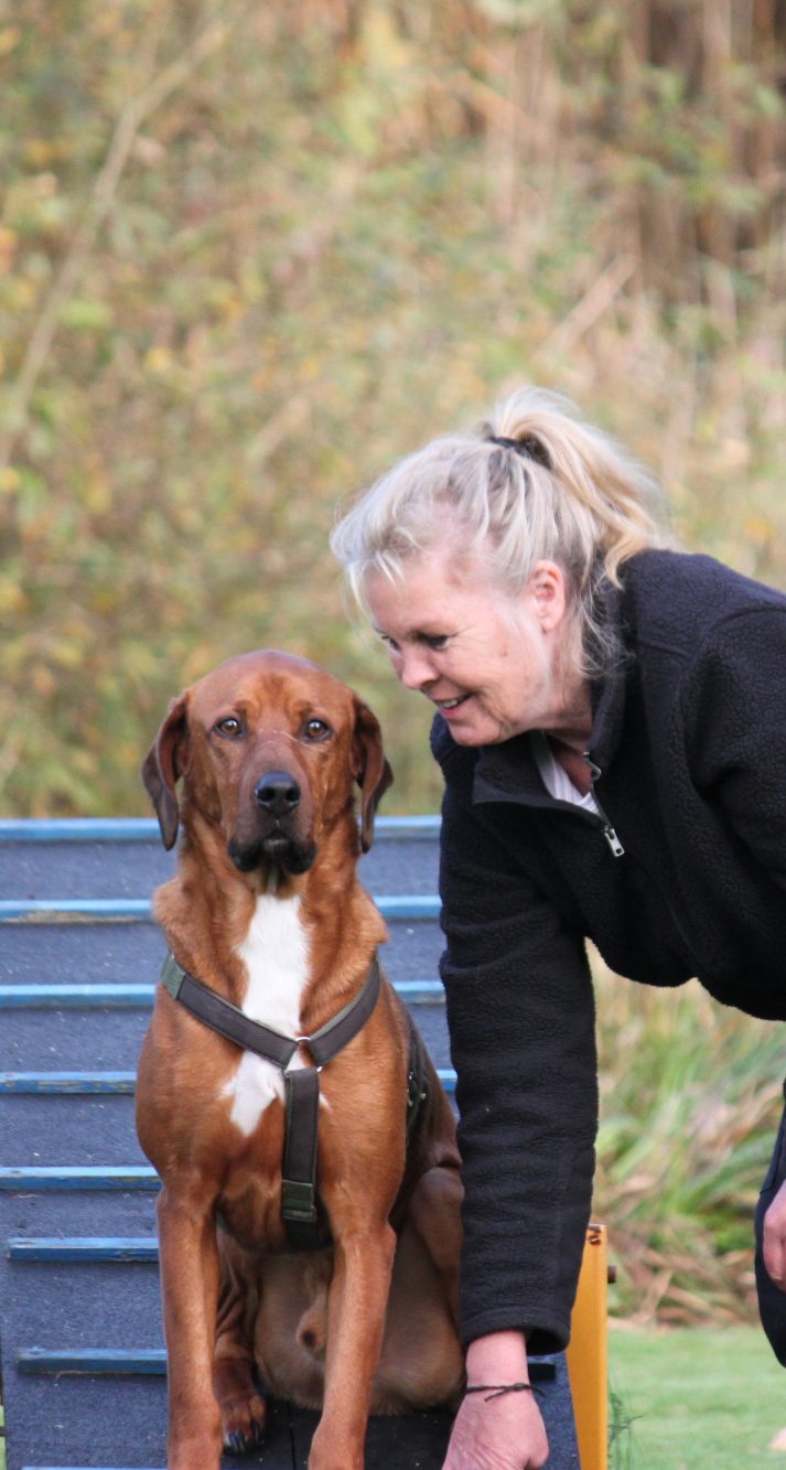 Hundeschule 2 Freunde