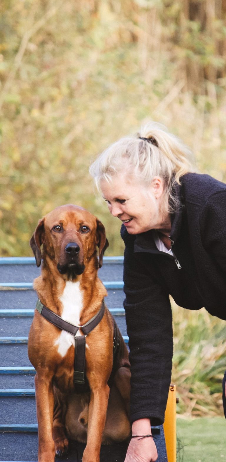 Hundeschule 2 Freunde