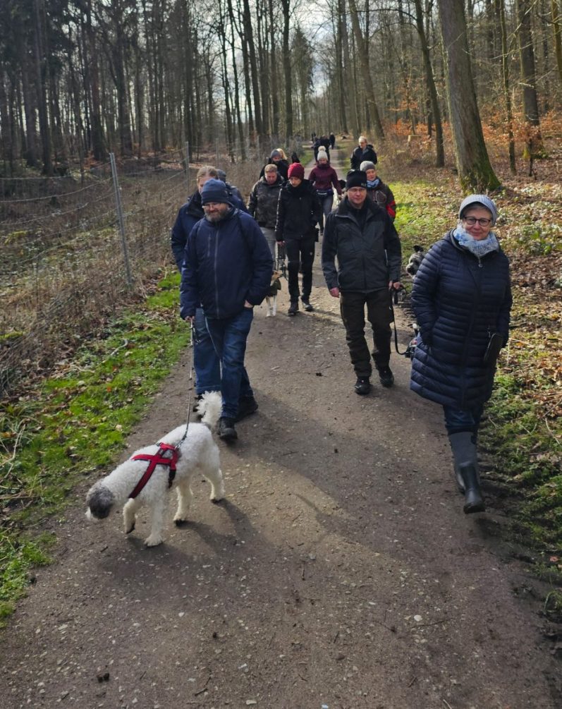 Waldspaziergang