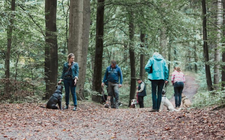 Entspannt im Wald